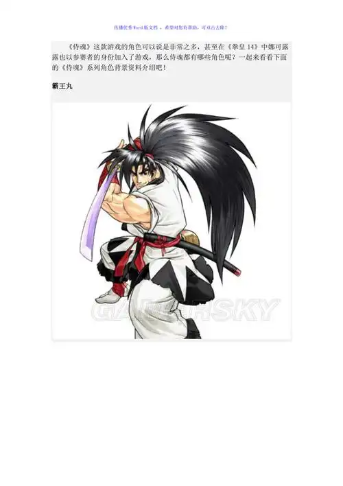 侍魂人物介绍word版