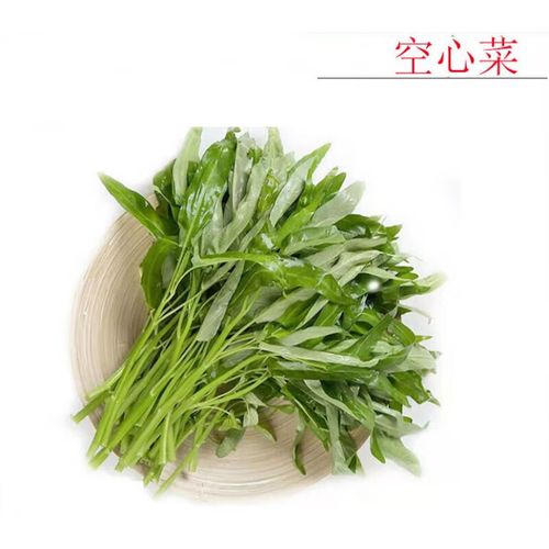生果乐新鲜空心菜新鲜蔬菜叶菜清炒涮火锅绿叶菜 1500g