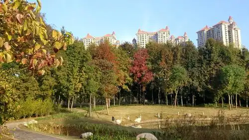 武汉和平公园秋色