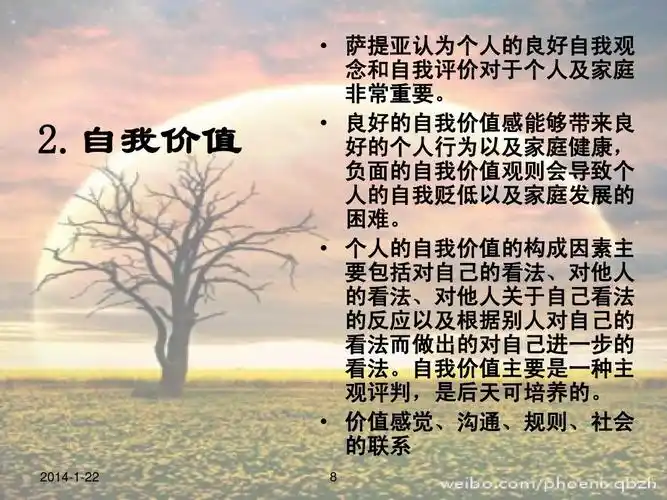 个案工作——萨提亚家庭治疗模式ppt