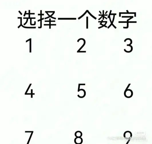 选择一个数字