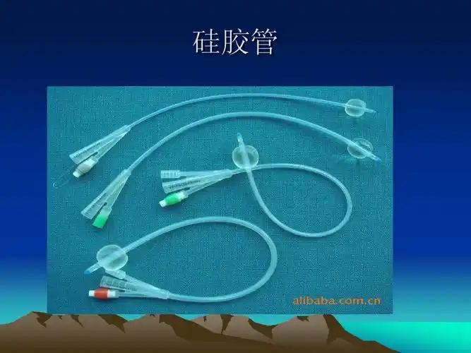 女病人留置导尿术ppt