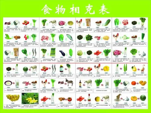 而且利用食物相克这种投毒方式,内脏早已