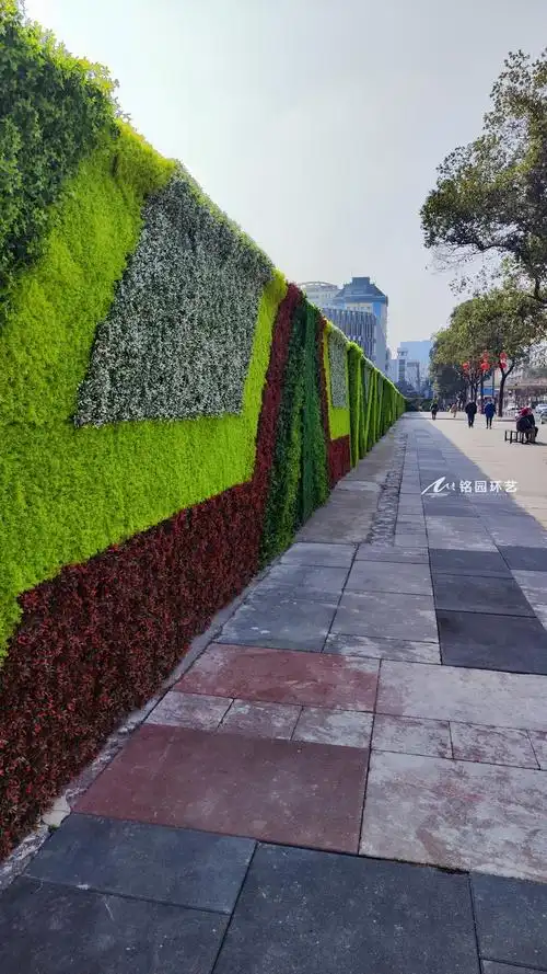 道路围墙绿化