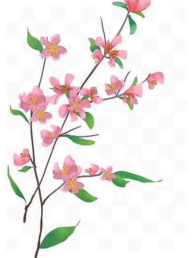 卡通4514春天春季水果开花梨树梨花11451原创手绘质感水墨水彩梨花