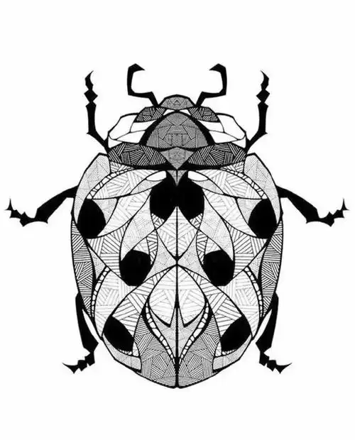 类昆虫非常多,网上虽然搜一下就是用不尽的素材,这组作品是黑白色的