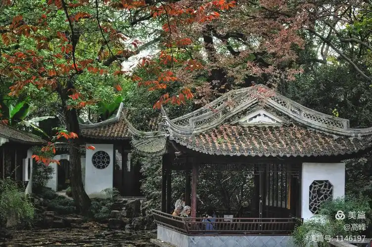 上海五大古典园林之最后一个游览《秋霞圃》在嘉定区,离我家是从南到