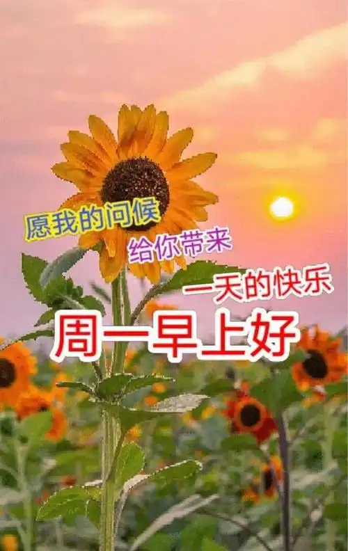 2022年4月25日新周早安唯美带字图片大全,周一早上好最新祝福问候语