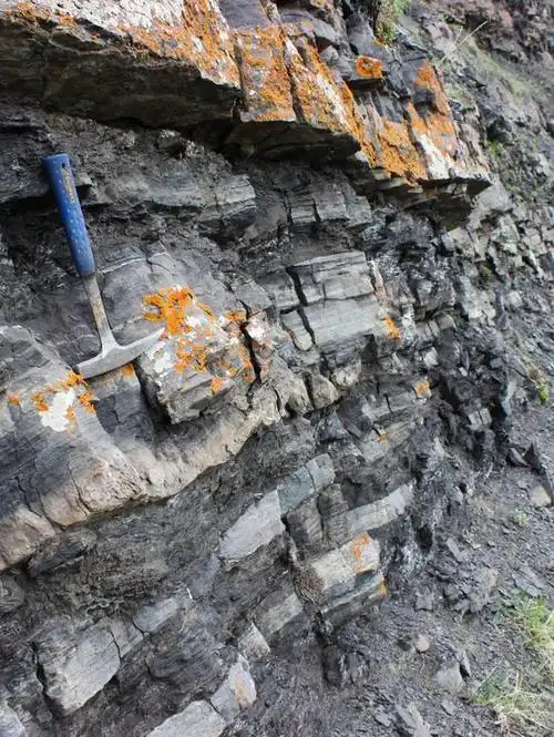 地球人丢弃的塑料垃圾都去哪了