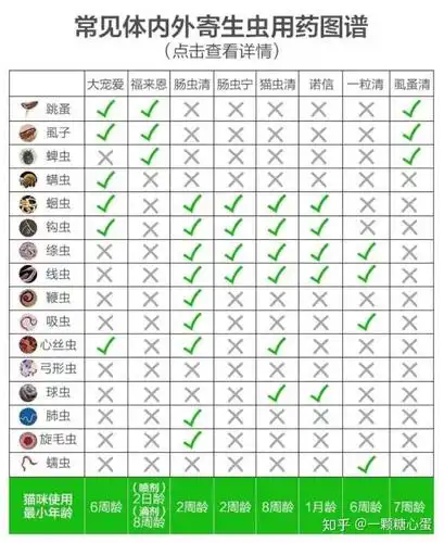 猫咪怎么驱虫,有什么好的驱虫药推荐?