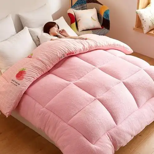 送被套羊羔绒冬天被子冬被保暖双人棉被太空被秋冬被子芯单人被