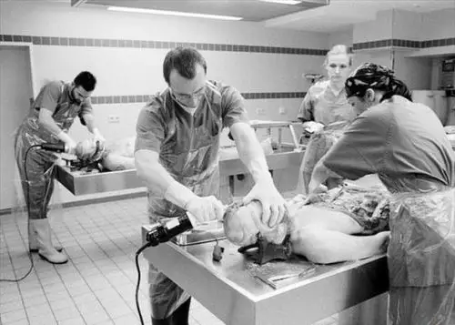 真实记录法医尸检全程(5)