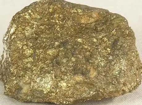 能寻找矿物的植物