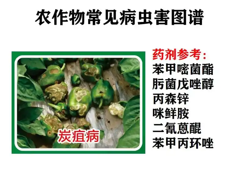 病虫害图谱与防治用药.视频内容,均为本课程包含内容,本课程包 - 抖音