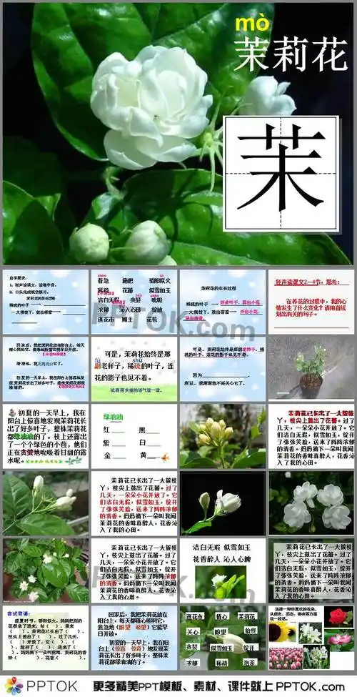 ppt内容这是2茉莉花ppt下载,主要介绍了茉莉花的生长过程;尝试背诵;养