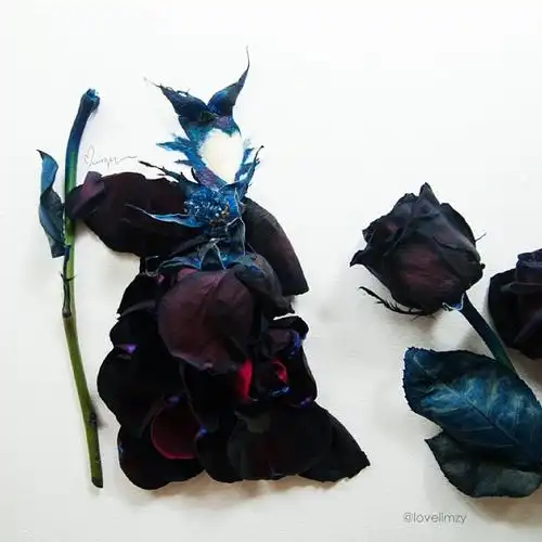 i seldom portray specific characters but i thin