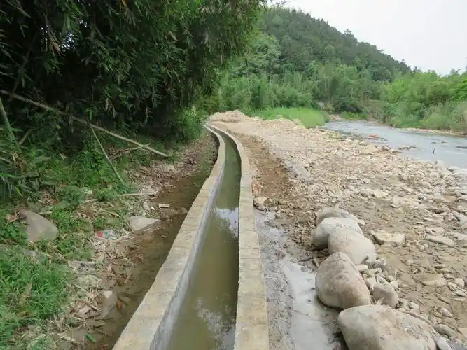 文坑水库部分分部工程进行完工验收.