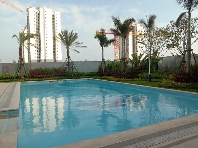 碧桂园海逸半岛买房砸金蛋