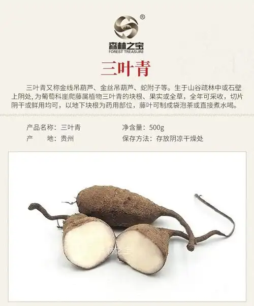 浙江仿生三叶青鲜果500g丝线吊金钟中药材粉金线吊葫芦