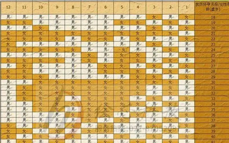 生男生女预测表计算器 "向来曾醉呼猿洞"-第1张图片-酷飞博客