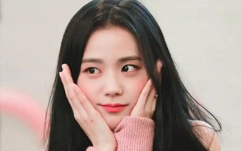 【金智秀】你浅浅的微笑就像乌梅子酱