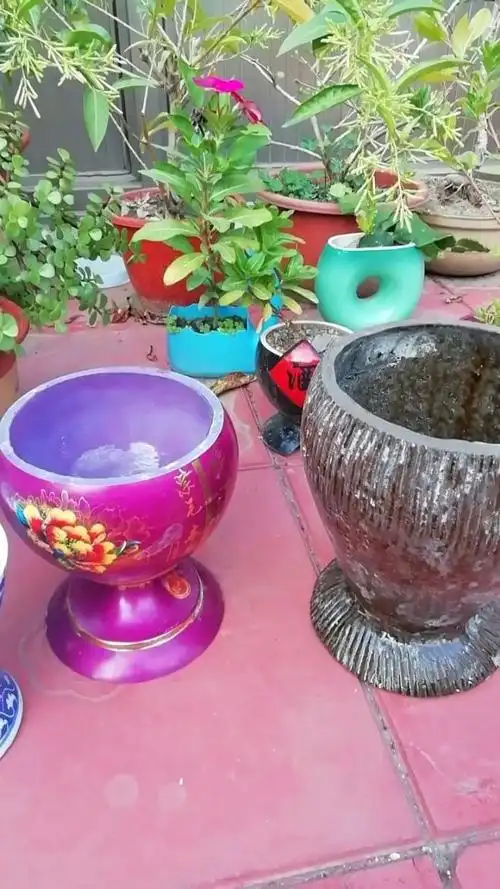 有喜欢酒瓶花盆的吗