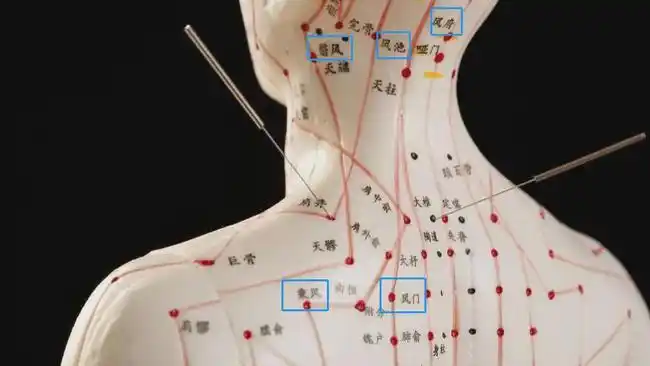 冬季这个部位受寒全身都遭殃2个方法就能保护它