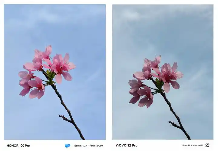 3000到4000档位荣耀100pro和华为nova12pro实际表现如何该怎么选