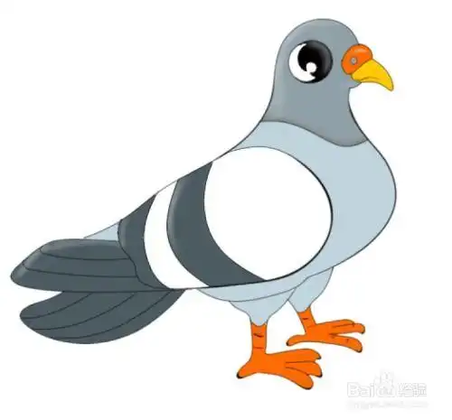 鸽子画法简笔画鸽子画法简笔画图片