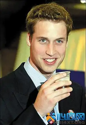 全世界单身的王室王子