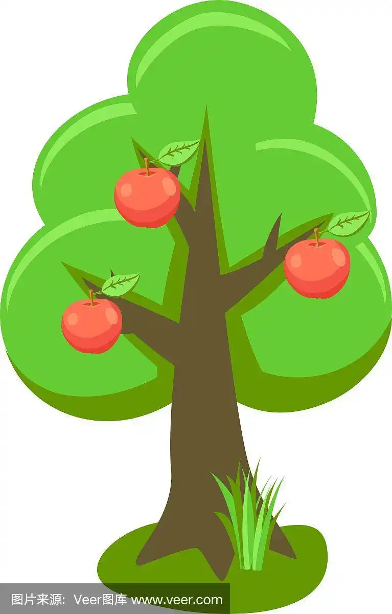 苹果树