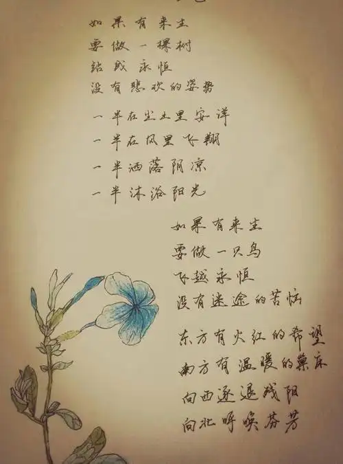 荷西的死是三毛心中永远的痛,这在她的文集《梦里花落知多少》中就
