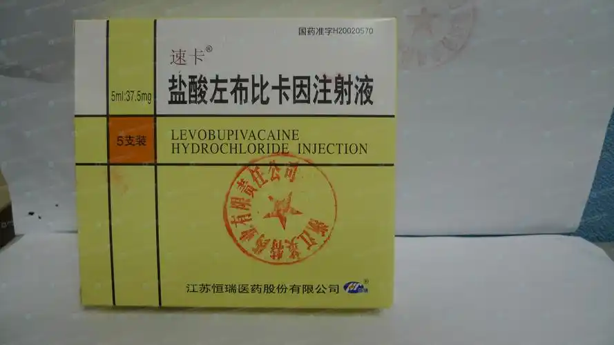 速卡(盐酸左布比卡因注射液)