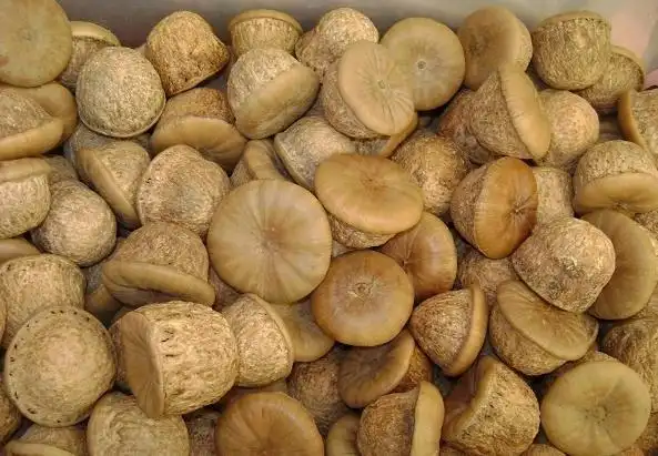 壮阳果的功效和作用以及食用方法介绍
