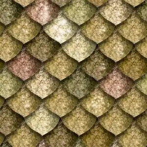 龙鳞,爬行动物皮肤的无缝纹理照片