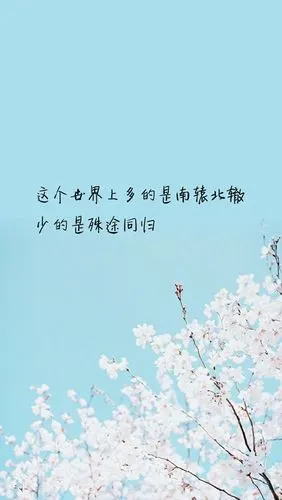 治愈系文字语录
