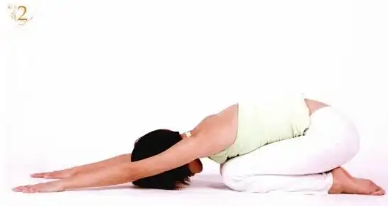 蛇击式瑜伽让你从头美到脚