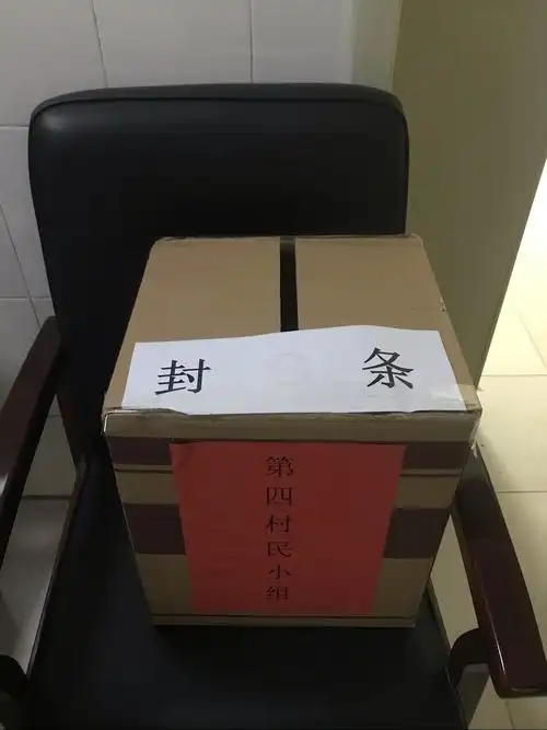 在村民的见证下,贴好封条