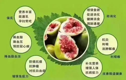 奕祥园无花果采摘园!