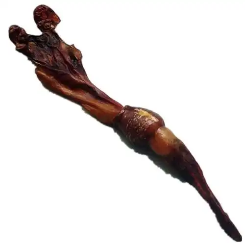 狗鞭 黄狗鞭 狗肾十全大补男士泡酒料佳品鞭1条 30克【图片 价格 品牌