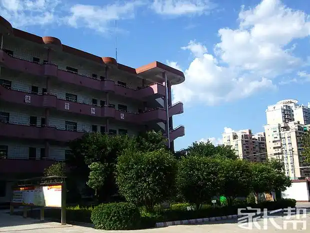 我眼中不一样的学校兴宁市第三中学