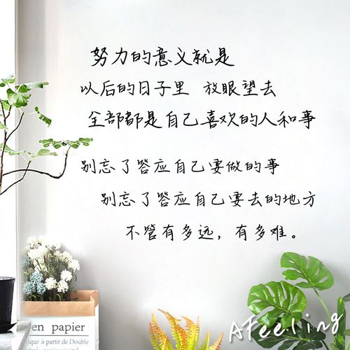 努力的意义要做的事手写文艺ins风励志句子卧室宿舍客厅装饰墙贴