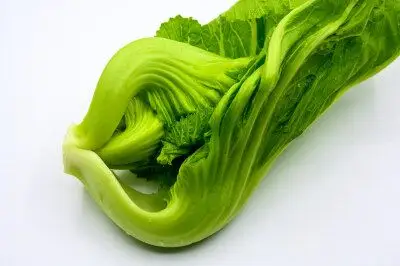 菜心 绿叶菜 小白菜 膳食纤维 营养 植物 绿色 静物 蔬菜 食品 农业