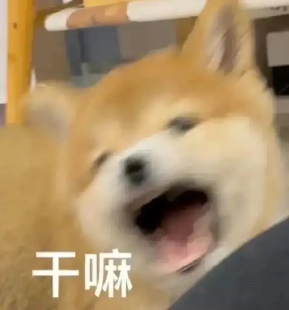 小狗问你在干嘛 #表情包 - 抖音