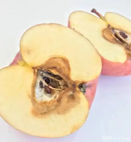 苹果烂了别丢!你肯定不知道烂苹果还有这么多作用,扔了太浪费