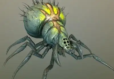 剧毒蜘蛛怪兽  次世代 2k贴图 巨型蜘蛛  spider