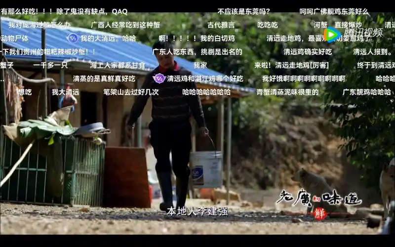 分一百亩地圈养几十只鸡老广的味道