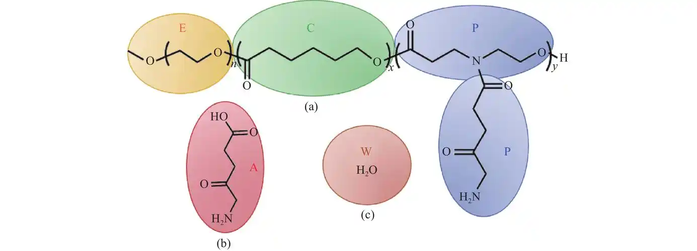 (5): 631-641                                    figure