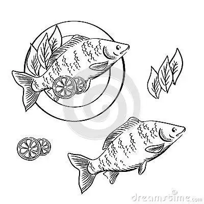 简笔画一道道鱼菜