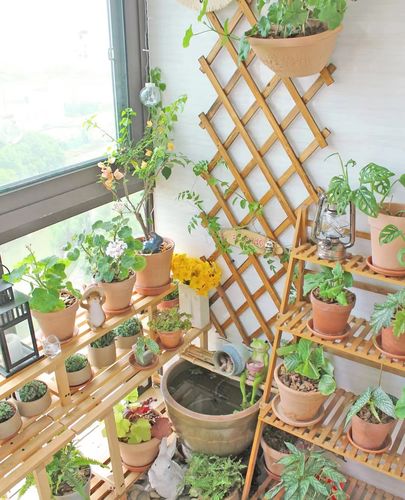 阳台打造小花园网红花架改造布置封闭室内神器花架